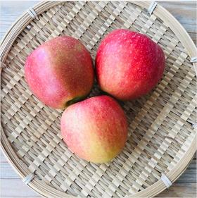 米奇拉苹果（±50g/份）