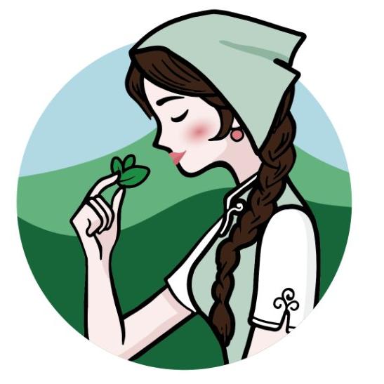 昔茗堂古树茶240428