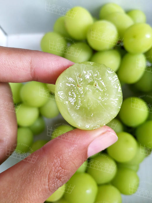 阳光玫瑰青提   商品图4