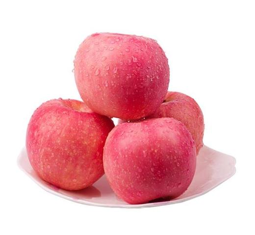 山东富士(合作松原) 商品图0