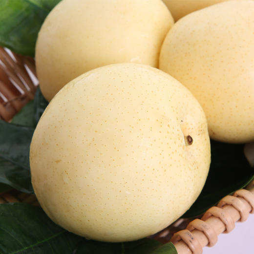 皇冠梨/彩箱装 洁白如玉 甜而不腻 商品图2