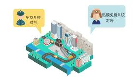  【为肠之道】人体的边防部队-黏膜免疫系统 