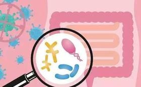  什么是肠功能障碍？ 