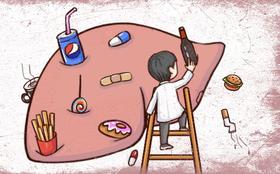 【为肠之道】肝病与肠肝轴系列（之六） 