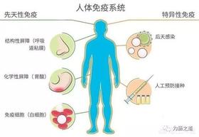  【为肠之道】什么是免疫力？ 