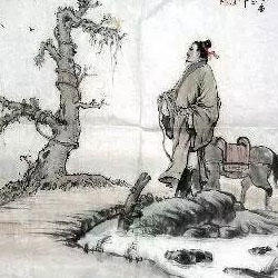  【为肠之道】从中华文化一窥肠道菌群 