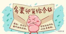  【为肠之道】多囊卵巢综合征的调整新思路（二） 