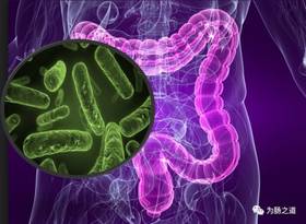 【为肠之道】 大肠癌是怎么发生的？ 