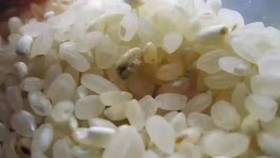  80%的中国人在假装吃饭，他们每天都在“服毒”！这么多年的饭白吃了 