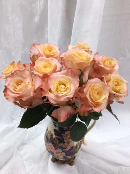 玫瑰 蒙娜丽莎 基地abc级 16.9元