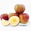 四川野生苹果|一箱10斤左右|小果 商品缩略图1