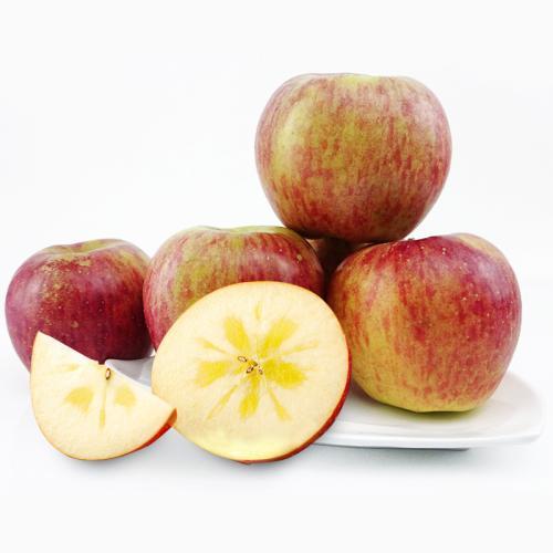 四川野生苹果|一箱10斤左右|小果 商品图1