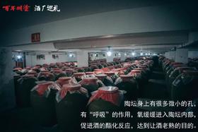  糊涂酒厂巡礼 | 工艺创造价值，品质引领未来 