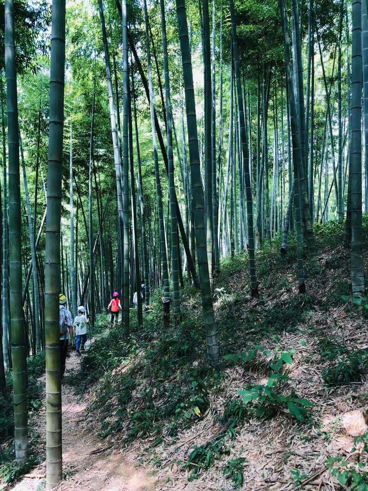 葛岭旅游景点有哪些图片