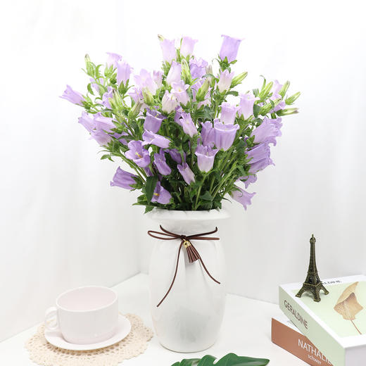 【风铃花】风铃草·一串串小铃铛·可爱极了,家庭插花婚礼捧花