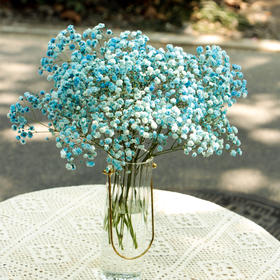 【周四团购】厄瓜多尔进口满天星（可做干花） 2人拼团