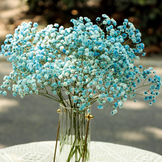 【周四团购】厄瓜多尔进口满天星（可做干花） 2人拼团 商品图1