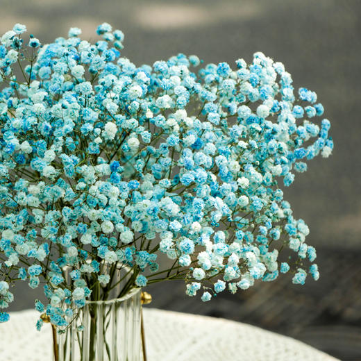 【周四团购】厄瓜多尔进口满天星（可做干花） 2人拼团 商品图2