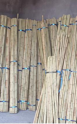 毛竹杆-《不参与包邮》 商品图1