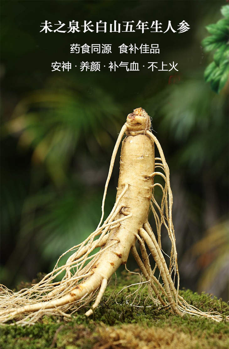 长白山5年足龄鲜人参单支50g*2