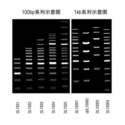 溴麝香草酚蓝变色范围图片