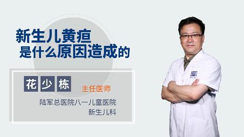 新生儿黄疸是什么原因造成的 商品图0