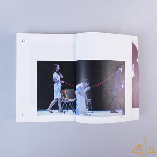 徐砚美 著 《Who’s Afraid of 林奕华：在剧场，与禁忌玩游戏》 商品图5