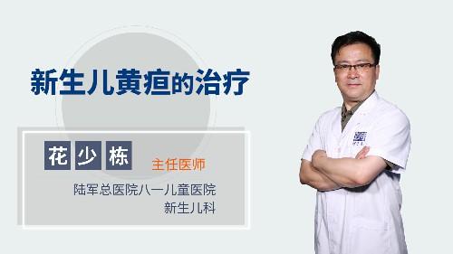 新生儿黄疸的治疗 商品图0