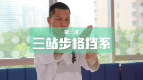 3.三站步格挡系-5组