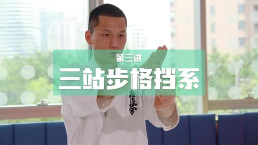 3.三站步格挡系-5组 商品图0