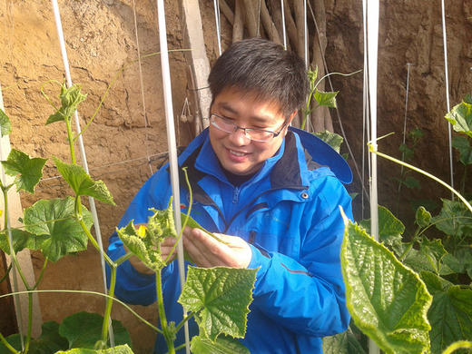 秋茬蔬菜想高产，追肥如何追？ 商品图0