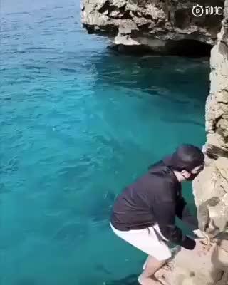 主干回归-线下课-001 商品图0