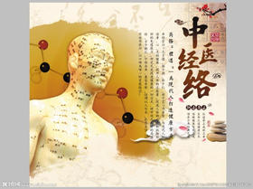 督脉，一身阳气的总督！