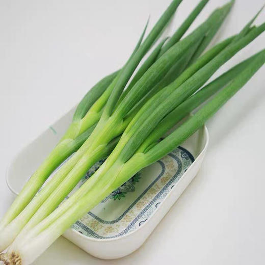 胡葱500克 本地蔬菜露天种植 小菜园