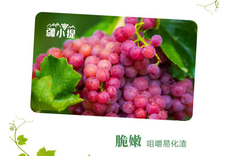 新疆火焰无核玻璃脆葡萄2kg100g
