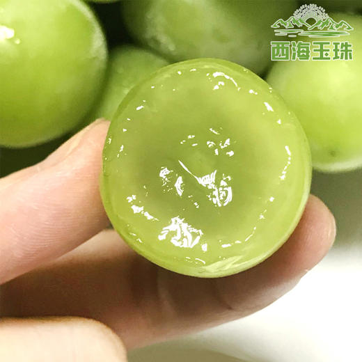 梦境香妃青提 新疆葡萄 脆甜多汁 澳洲品种×新疆种植 商品图4