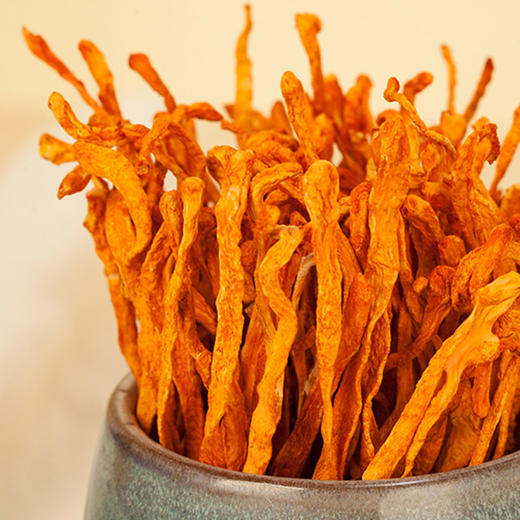 金黄虫草花丨传说中好的不老草,不寒不燥的滋补佳品