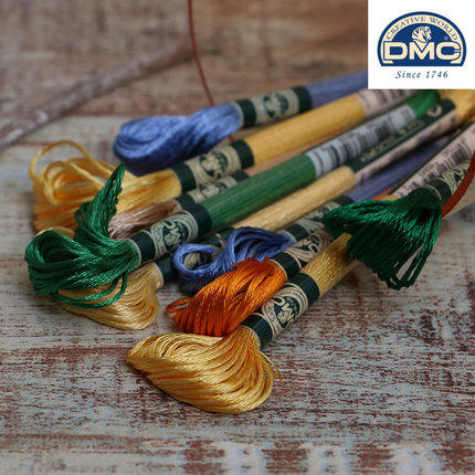 DMC亮丝线-1008F 商品图0