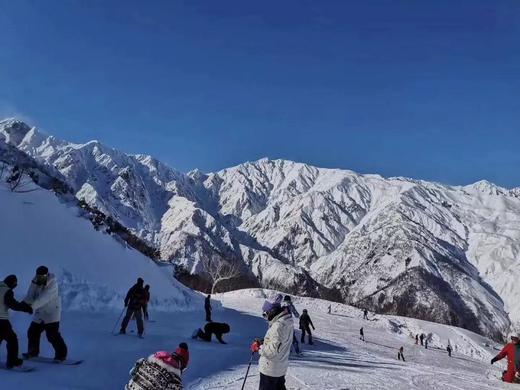 苏州教练场地费 商品图0