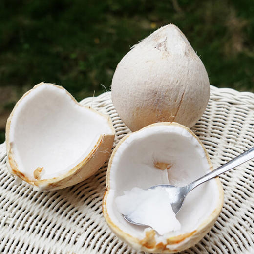 【果明星】泰国奶椰 2个