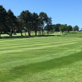 科隆高尔夫乡村俱乐部 Golf- und Land-Club Köln | 科隆高尔夫球场 | 德国高尔夫球场俱乐部 | 欧洲高尔夫