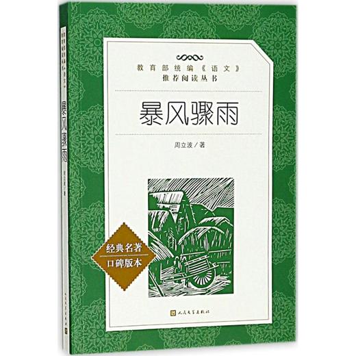 暴风骤雨 商品图0