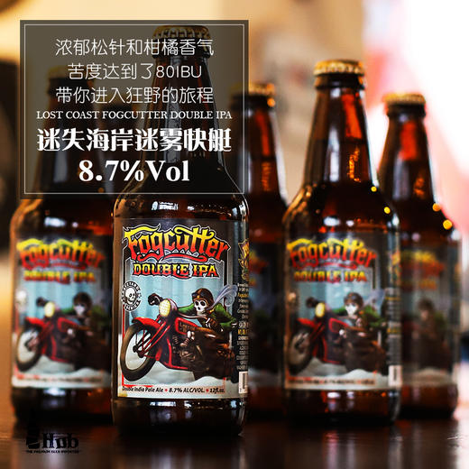 美国迷失海岸 迷雾快艇双倍IPA 啤酒 355ml*24瓶 商品图2