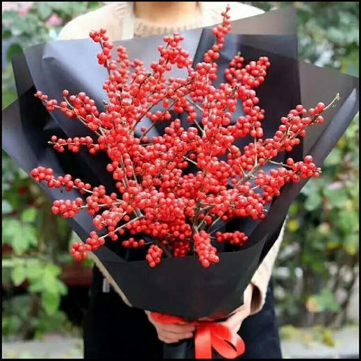 北美冬青韩式创意生日祝福探望商务花束鲜花速递同城广州深圳送花