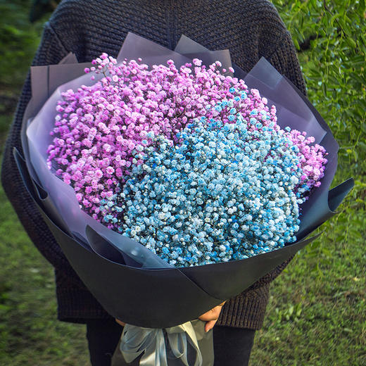 天津鲜花速递同城满天星玫瑰花束北京上海杭州武汉生日表白送花店