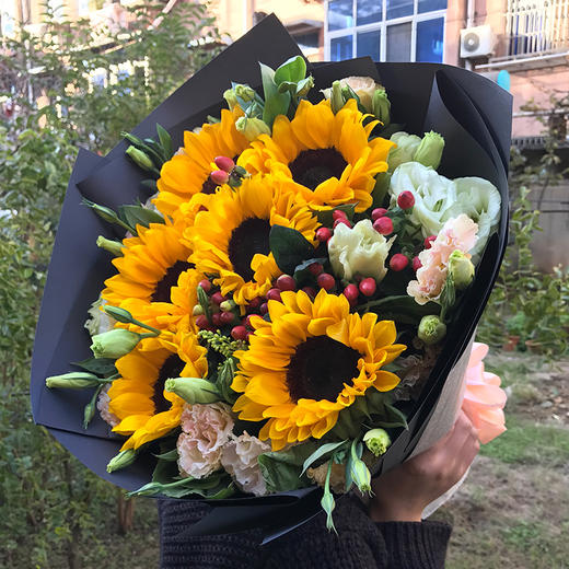 石家庄向日葵毕业花束鲜花速递同城长安桥西新华裕华生日配送花店