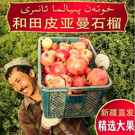 【和田】新疆和田皮亚曼丑石榴 生鲜水果新疆发货 商品图0