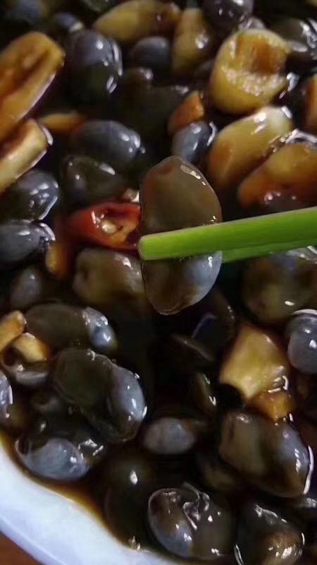 老款泥螺 商品图0