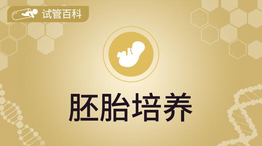 试管百科-胚胎培养 商品图0