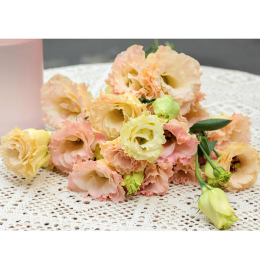 【周四团购】香槟桔梗一把 39.9  2人拼团 商品图2